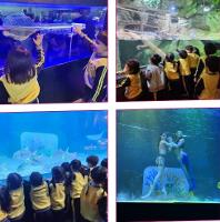 1학기 현장체험학습(코엑스 아쿠아리움)